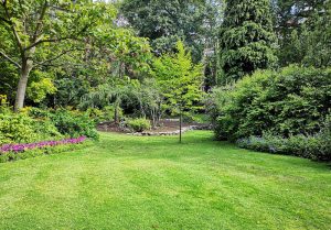 Optimiser l'expérience du jardin à Boult